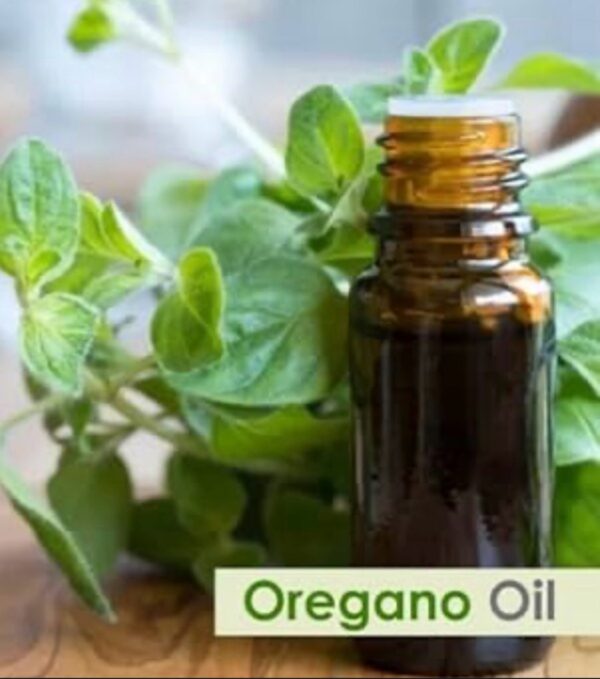 10ml  Oil of Oregano