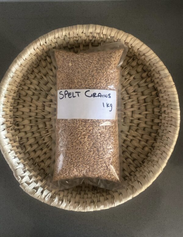 1kgSpelt Grain